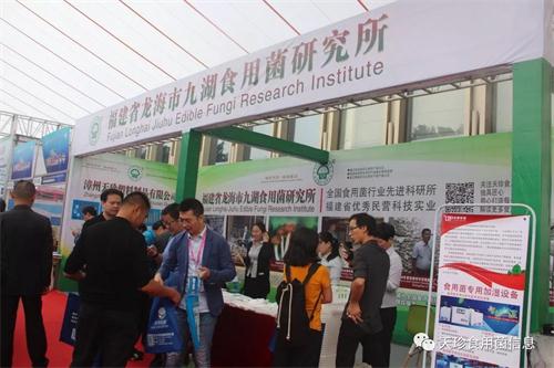 82027_2.jpg 82027_2.jpg