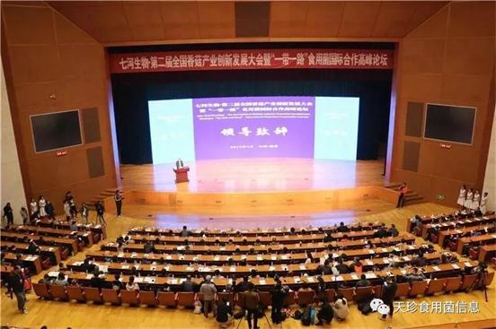 82051_s.jpg 82051_s.jpg