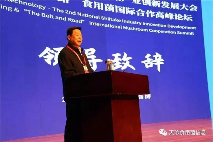 82051_1.jpg 82051_1.jpg