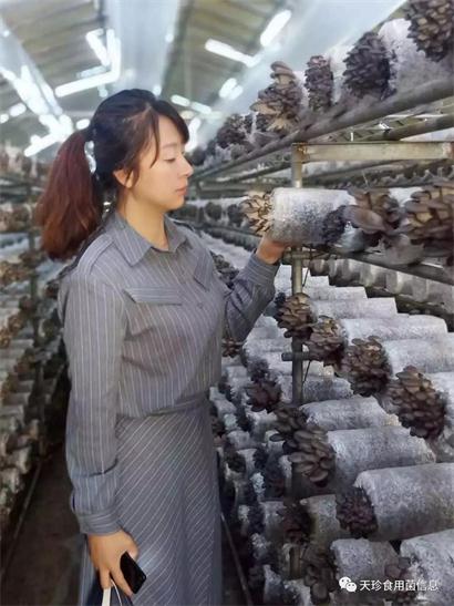 82051_5.jpg 82051_5.jpg