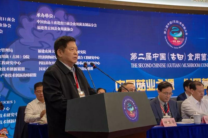 82057_4.jpg 82057_4.jpg