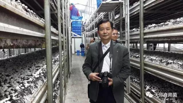 81926_s.jpg 81926_s.jpg