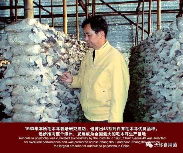 81926_1.jpg 81926_1.jpg