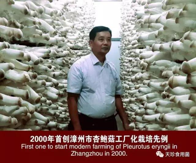 81926_2.jpg 81926_2.jpg