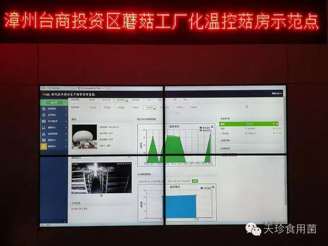 81926_4.jpg 81926_4.jpg