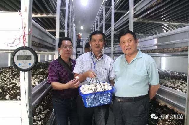 81926_6.jpg 81926_6.jpg