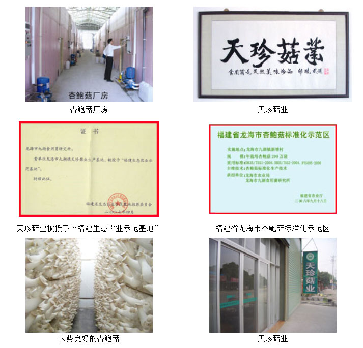 未标题-1.jpg 未标题-1.jpg