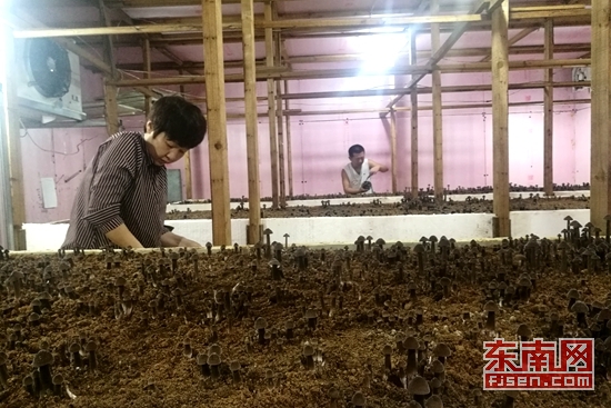 82026_1.jpg 82026_1.jpg