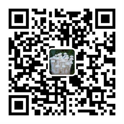 福建龙海市九湖食用菌研究所