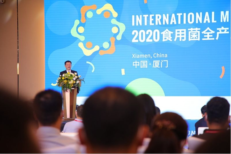 微信图片_20201120145737_爱奇艺.jpg 微信图片_20201120145737_爱奇艺.jpg