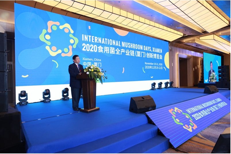 微信图片_20201120145910_爱奇艺.jpg 微信图片_20201120145910_爱奇艺.jpg