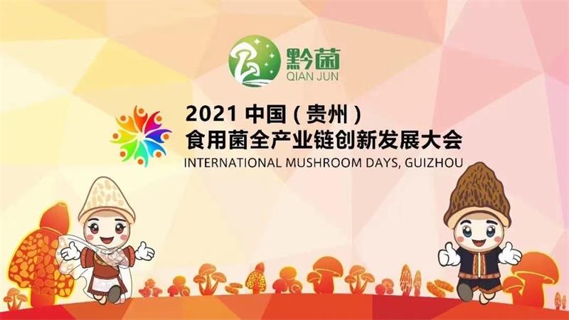 微信图片_20210624084828.jpg 微信图片_20210624084828.jpg