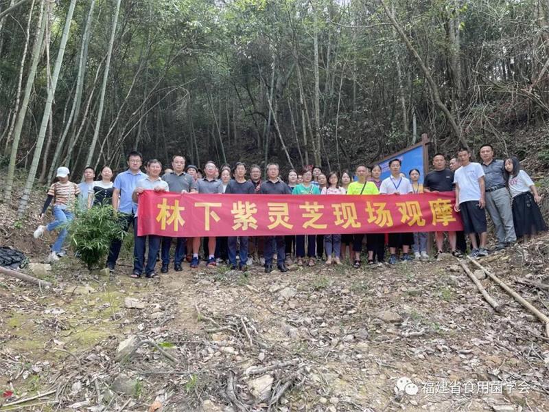 微信图片_20210824102721.jpg 微信图片_20210824102721.jpg