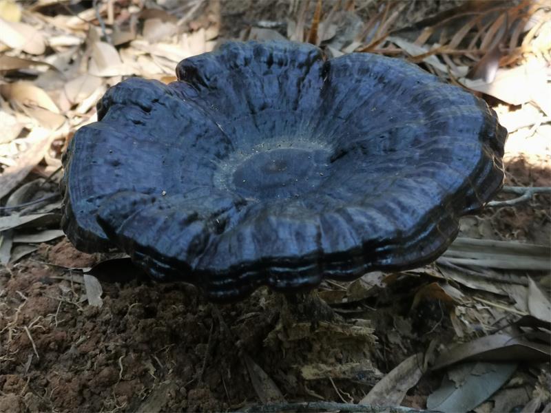 微信图片_20210728215516.jpg 微信图片_20210728215516.jpg