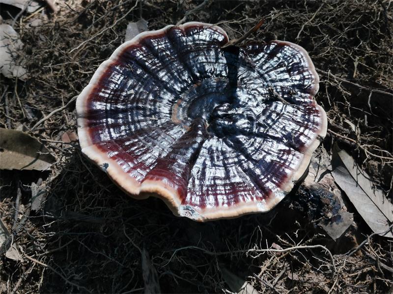 微信图片_20210728215508.jpg 微信图片_20210728215508.jpg