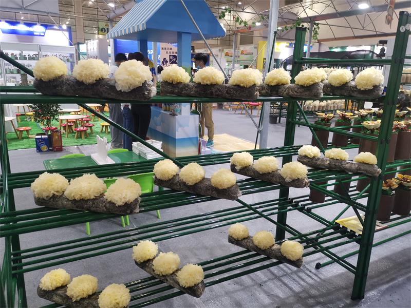 微信图片_20220612113753.jpg 微信图片_20220612113753.jpg