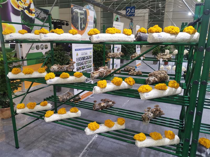 微信图片_20220612113757.jpg 微信图片_20220612113757.jpg