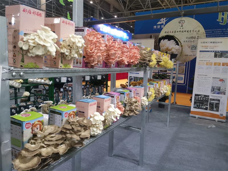 微信图片_20220612113800.jpg 微信图片_20220612113800.jpg