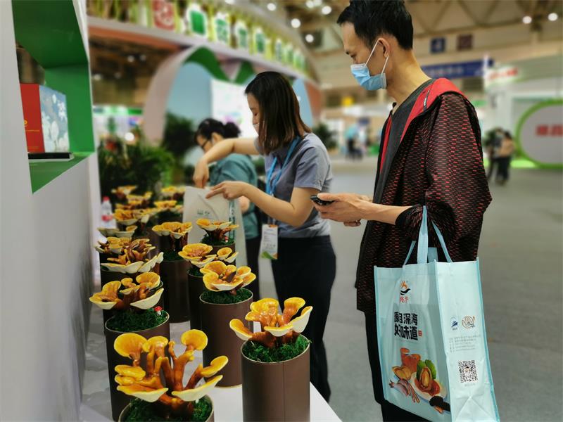 微信图片_20220612113606.jpg 微信图片_20220612113606.jpg