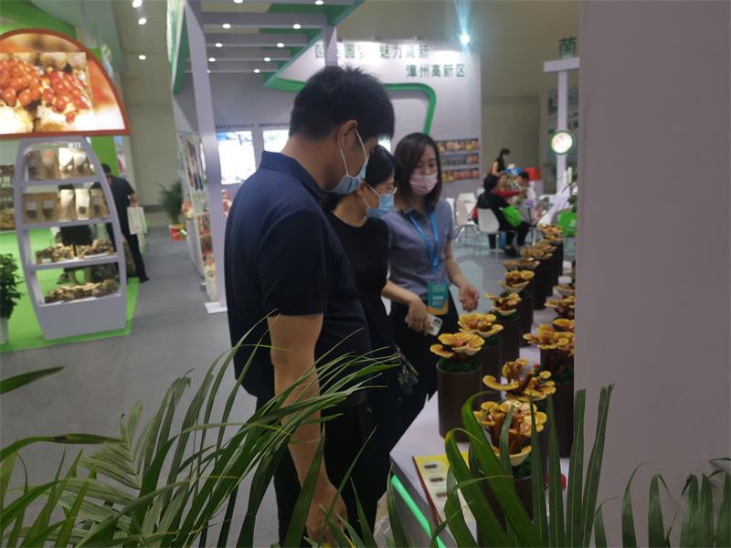 微信图片_20220612113734.jpg 微信图片_20220612113734.jpg