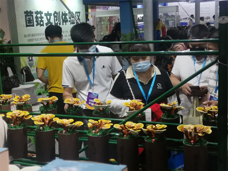 微信图片_20220612113743.jpg 微信图片_20220612113743.jpg