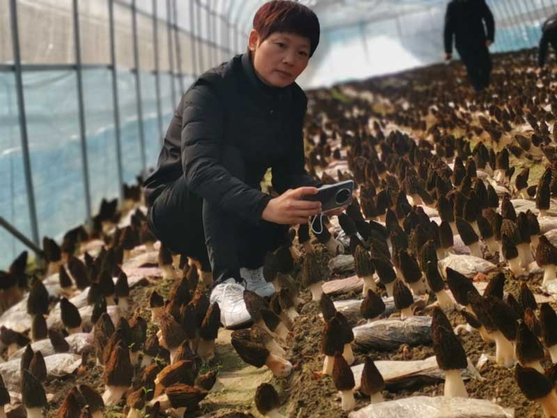 微信图片_20230227153054.jpg 微信图片_20230227153054.jpg