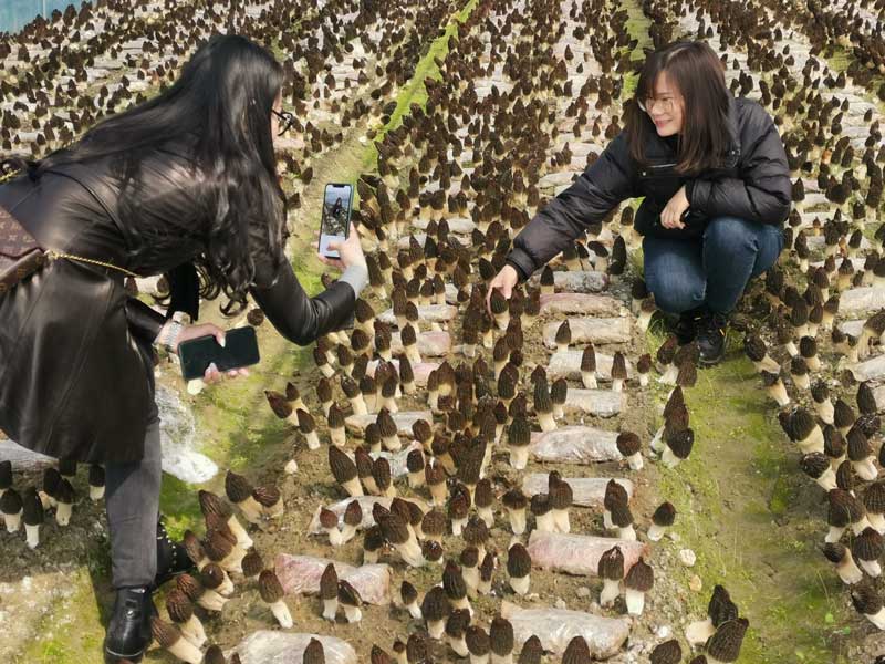 微信图片_20230227153104.jpg 微信图片_20230227153104.jpg