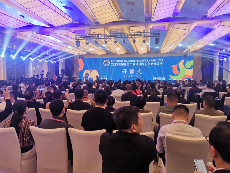 微信图片_20230322102330.jpg 微信图片_20230322102330.jpg