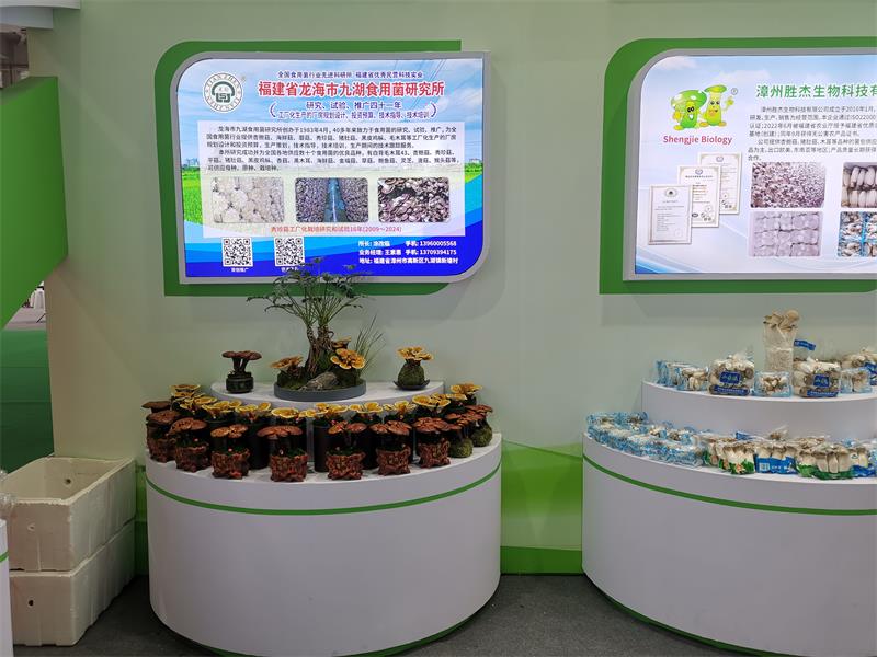 微信图片_20241229202449.jpg 微信图片_20241229202449.jpg