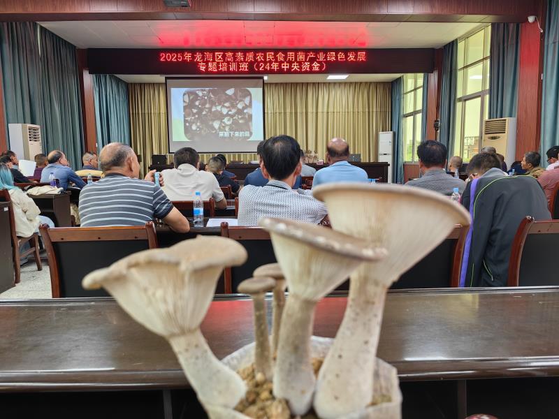 微信图片_20250507213104.jpg 微信图片_20250507213104.jpg